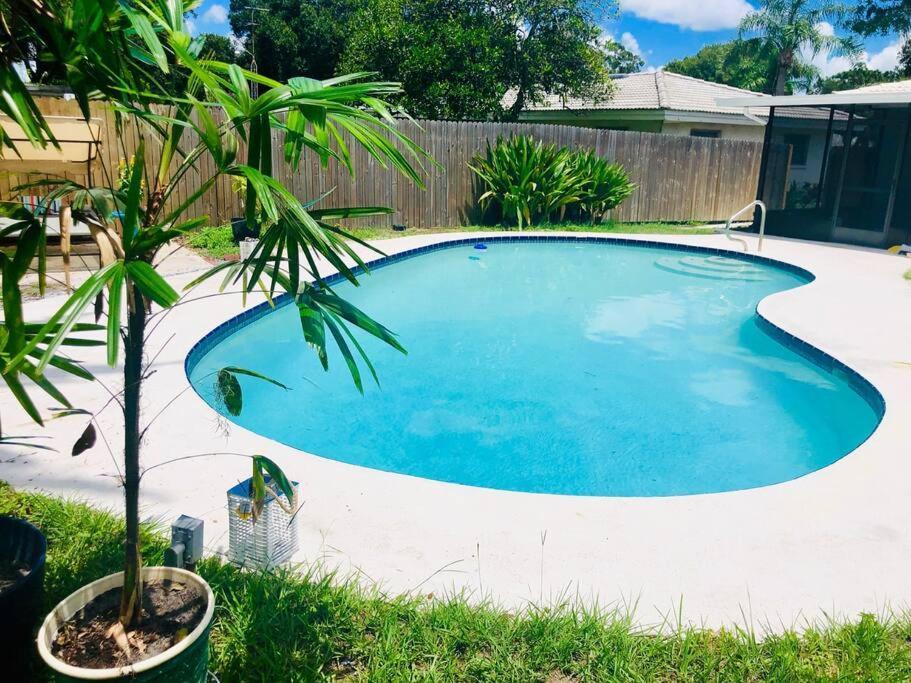 Paradise Hideaway Entire Guest Home Near Beach كليرووتر المظهر الخارجي الصورة